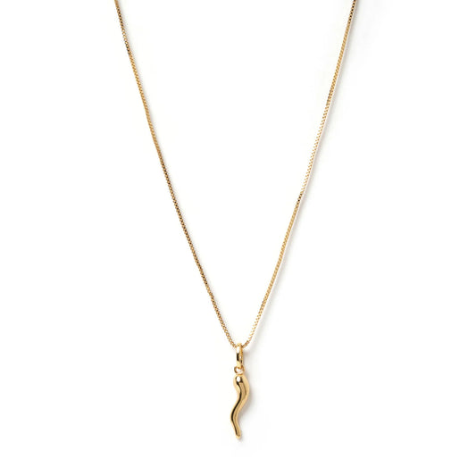 Cornicello Gold Charm Necklace